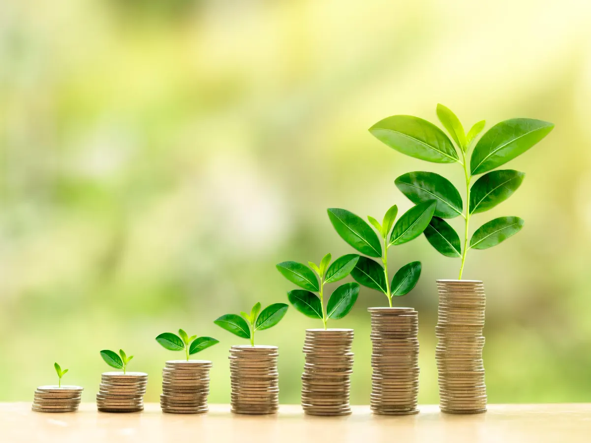 How to Build Wealth from Scratch: Proven Steps for Financial Success