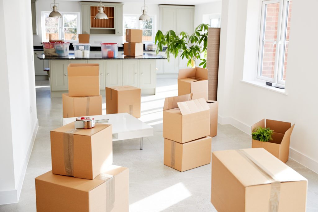 safe ship moving services reviews
