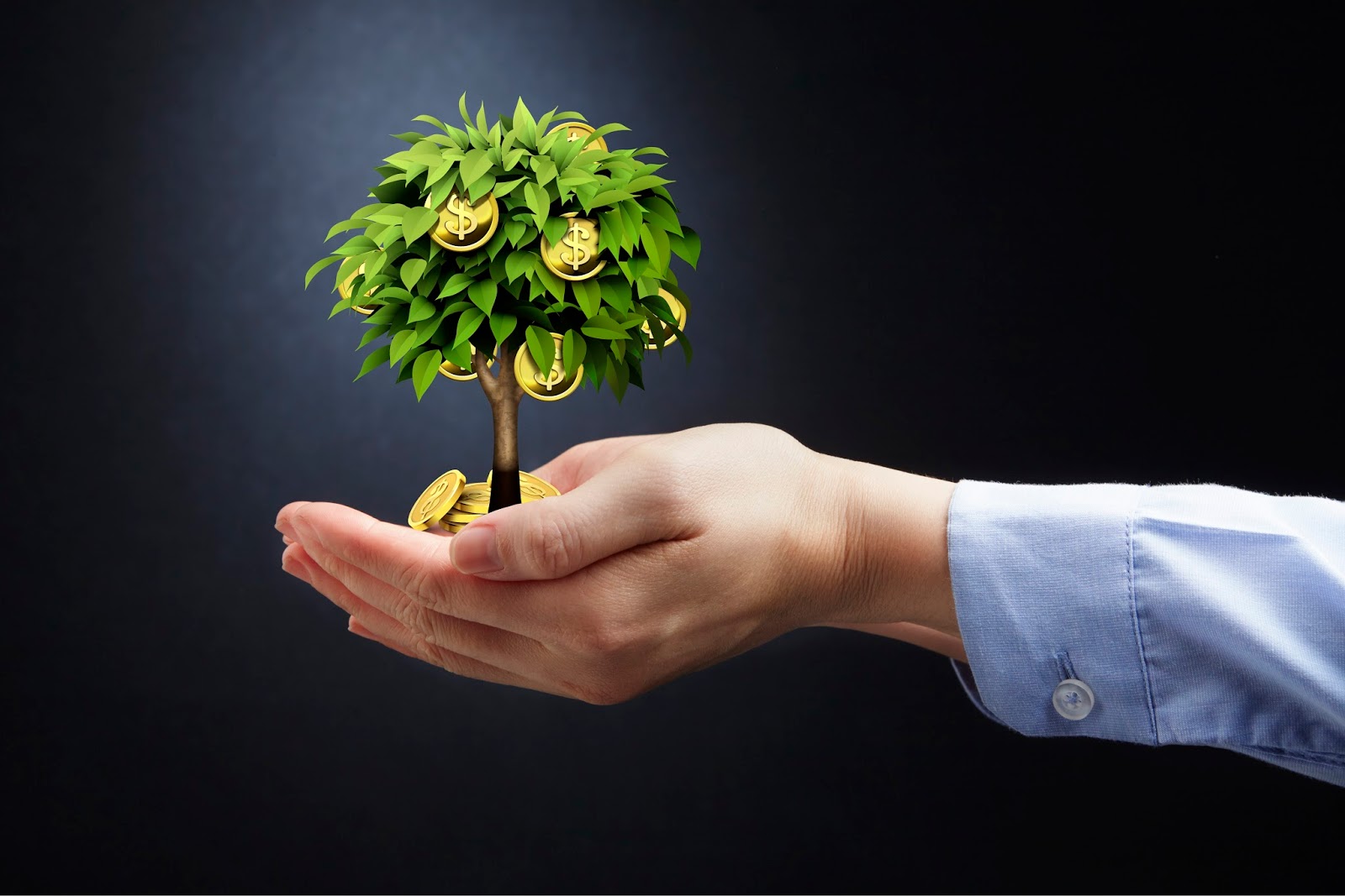 Financial Confidence