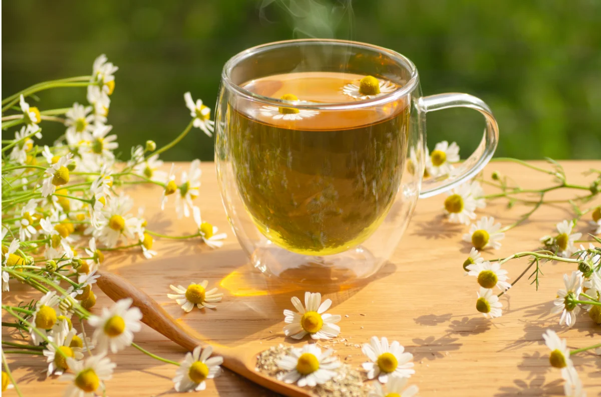 Chamomile: More Than Just Tea – How This Herb Can Improve Your Sleep and Skin
