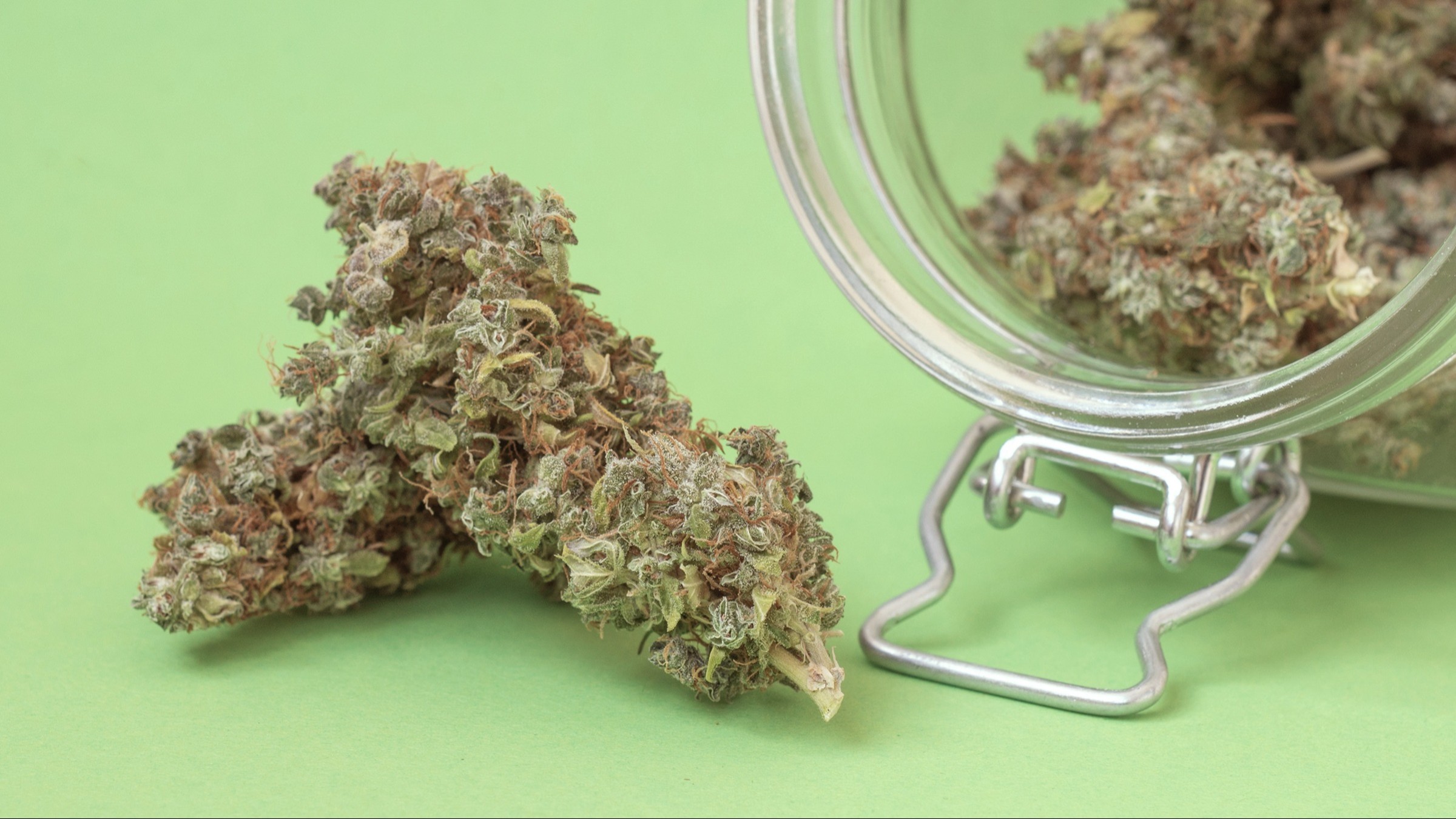 https://freshbros.com/thca-flower-in-kentucky/
